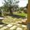 zoom foto
