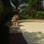 zoom foto